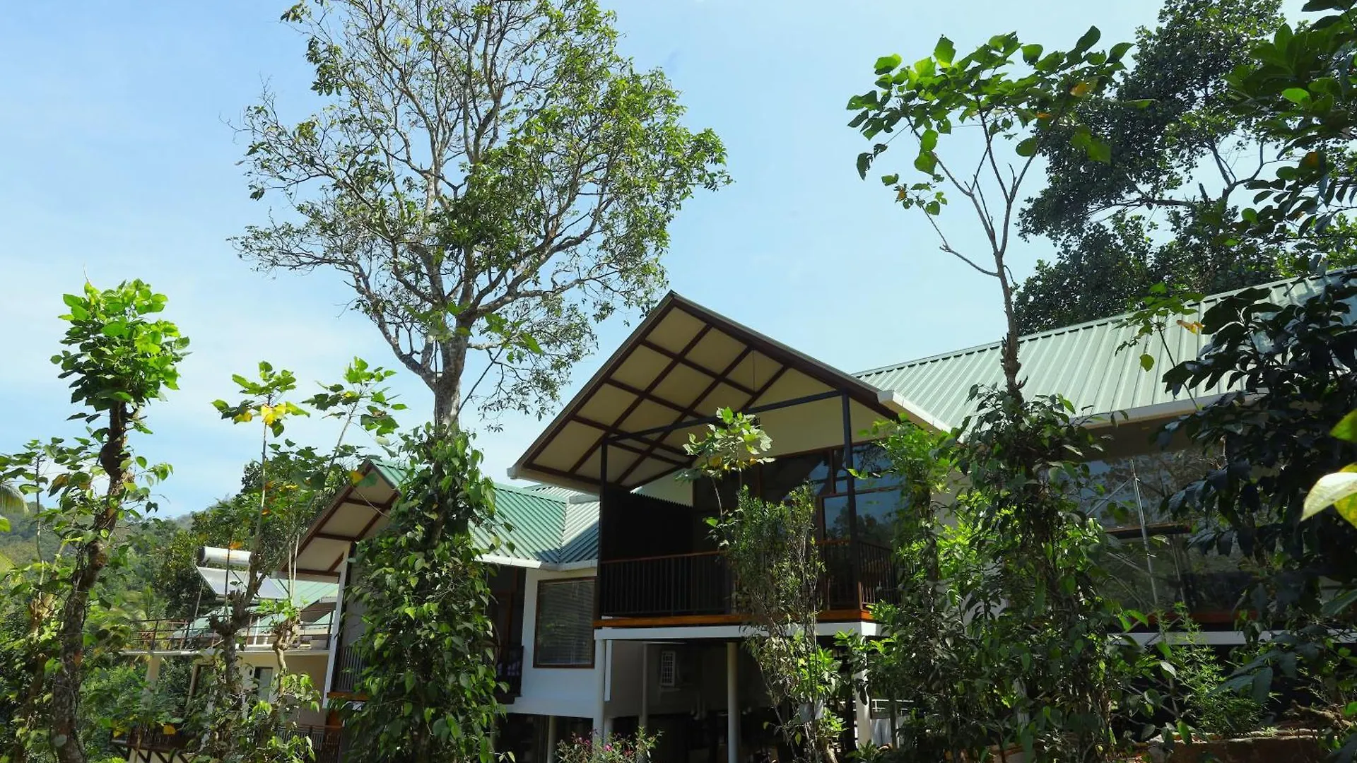Coffee And Pepper Plantation Homestay Thekkady